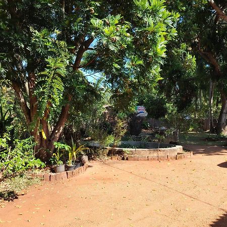 Olivia Homestay アヌラーダプラ エクステリア 写真