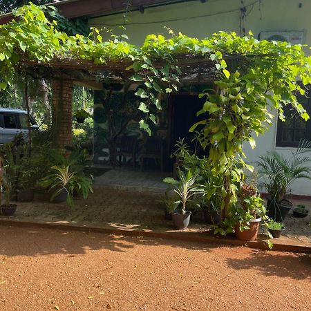Olivia Homestay アヌラーダプラ エクステリア 写真