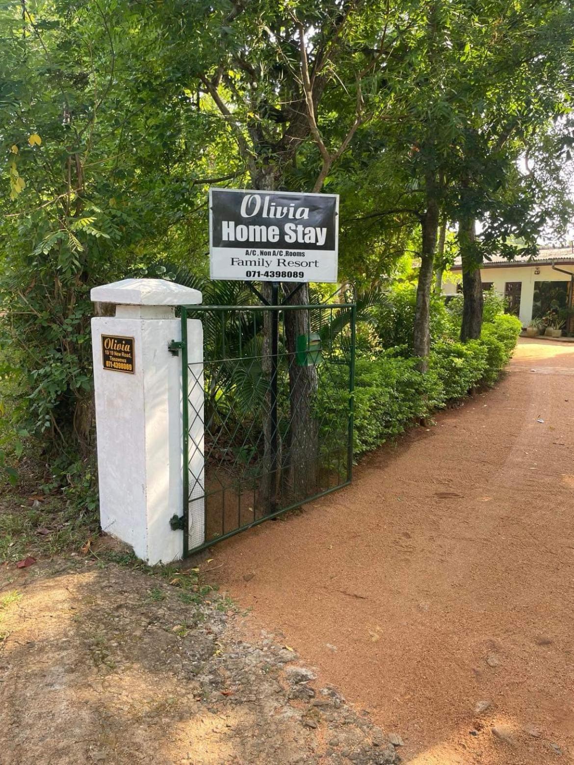 Olivia Homestay アヌラーダプラ エクステリア 写真