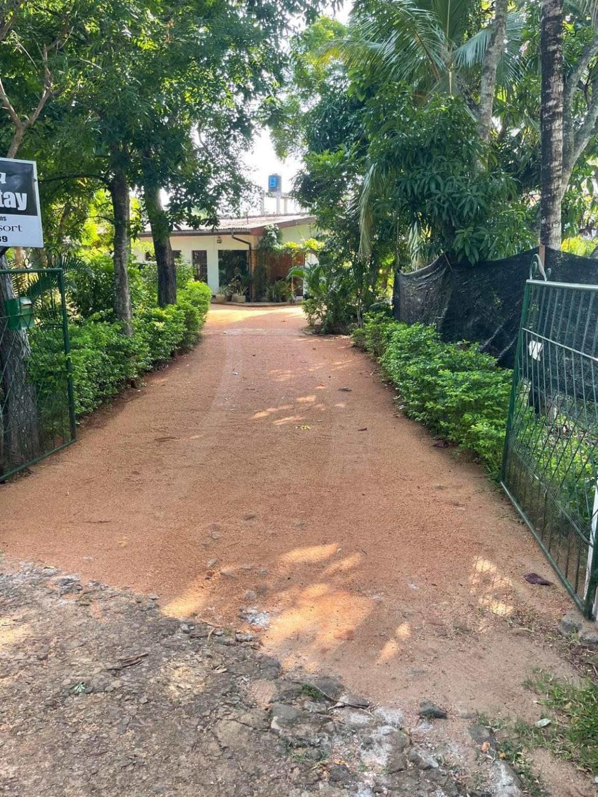 Olivia Homestay アヌラーダプラ エクステリア 写真