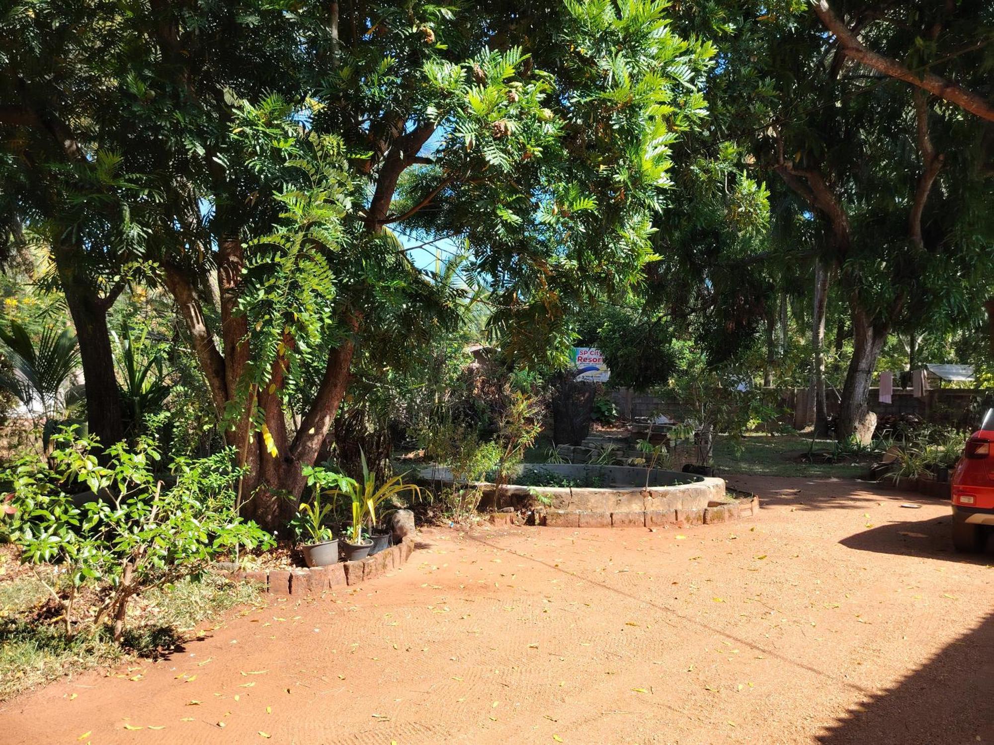 Olivia Homestay アヌラーダプラ エクステリア 写真