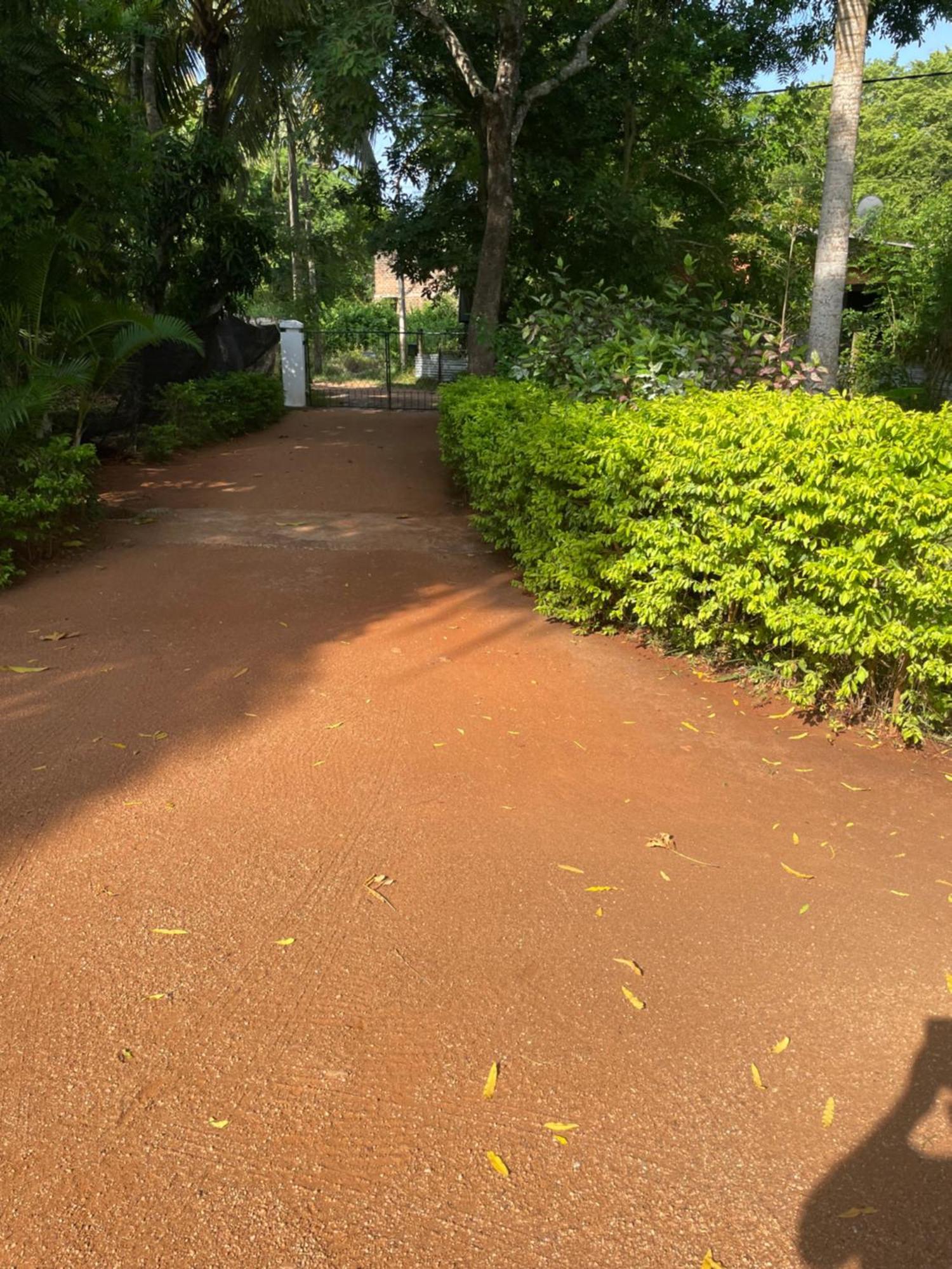 Olivia Homestay アヌラーダプラ エクステリア 写真