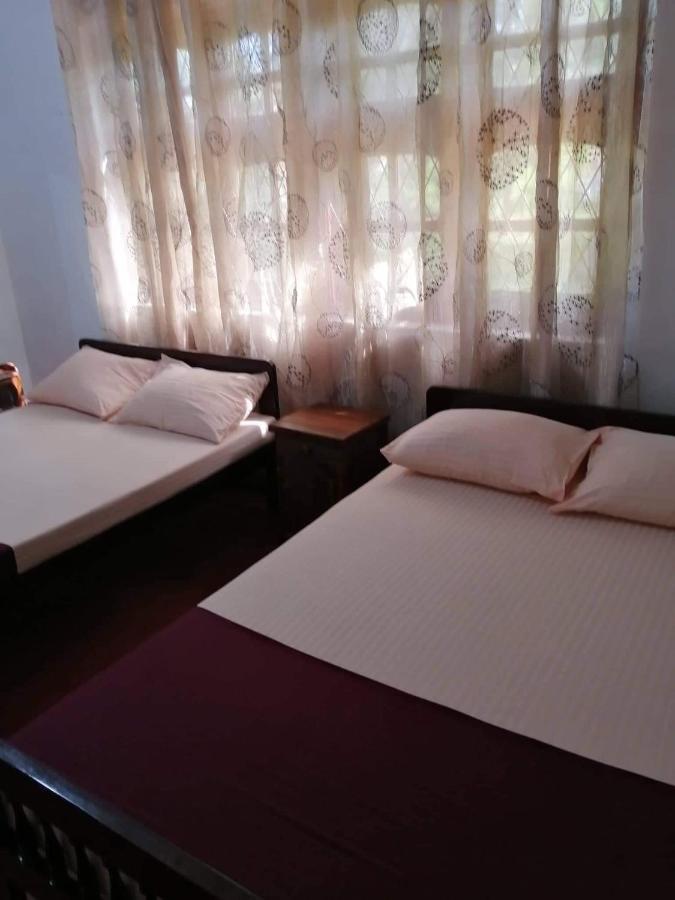 Olivia Homestay アヌラーダプラ エクステリア 写真